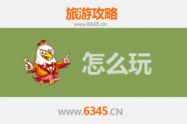 节假日畅游东莞大朗镇：荔枝之乡的悠闲之旅